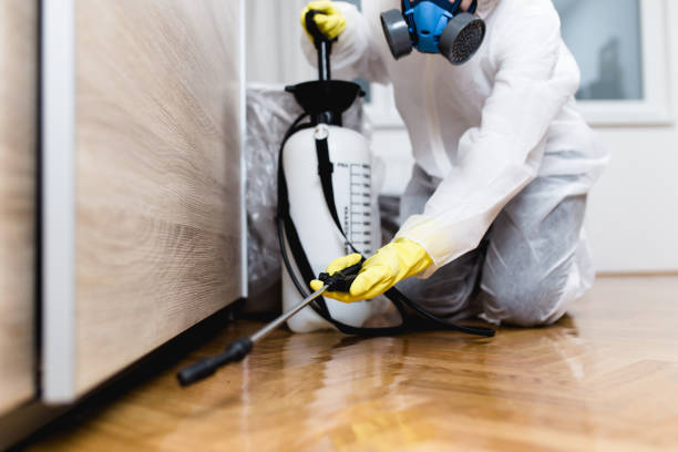 Professional Pest Control in Skidway Lake, MI