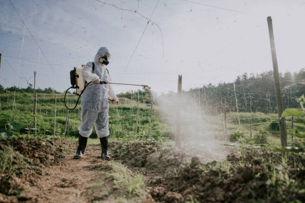 Best Best Pest Control Companies  in Skidway Lake, MI