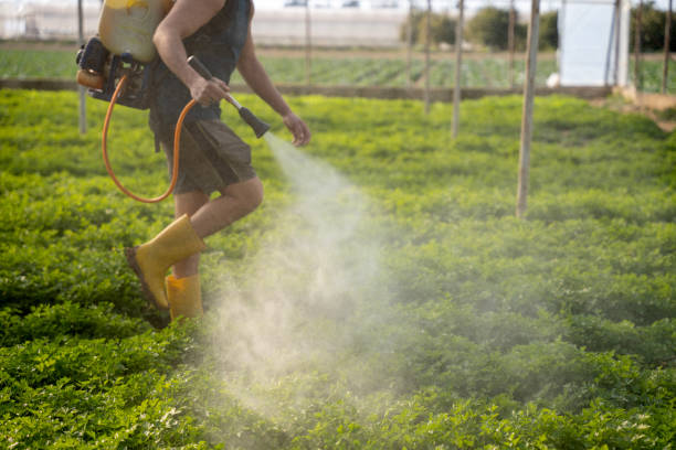 Reliable Skidway Lake, MI Pest Control Solutions